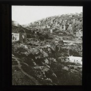 Böhl glass slide 62./2036